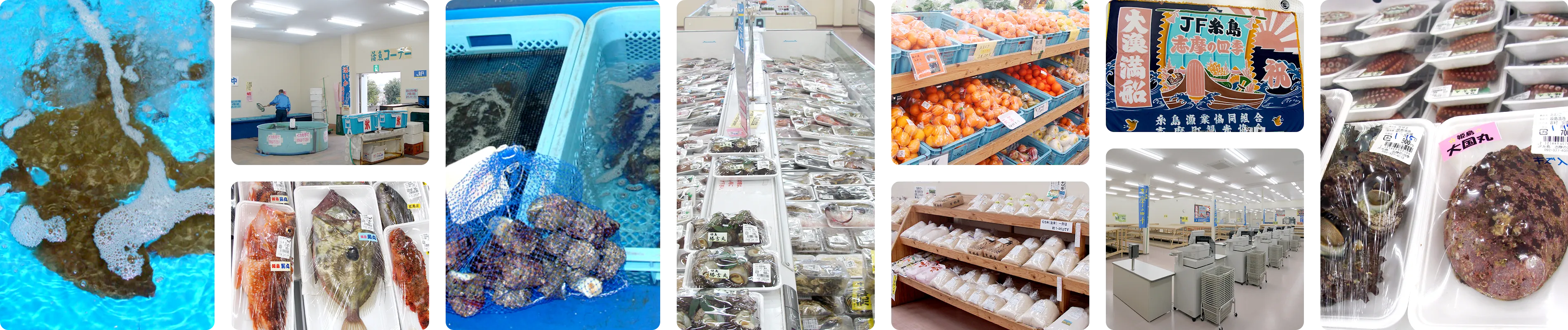 志摩の四季流れる画像