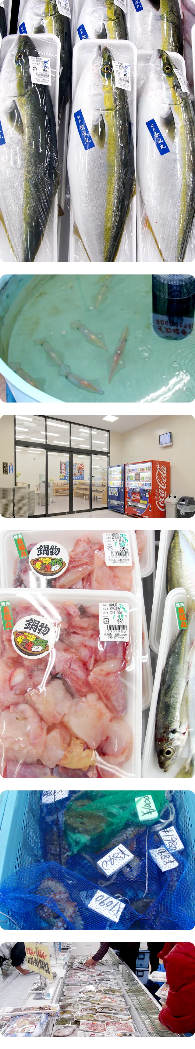 志摩の四季流れる画像