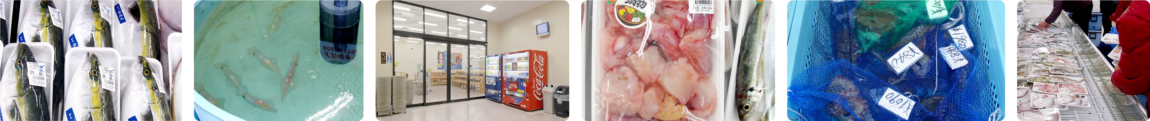 志摩の四季流れる画像