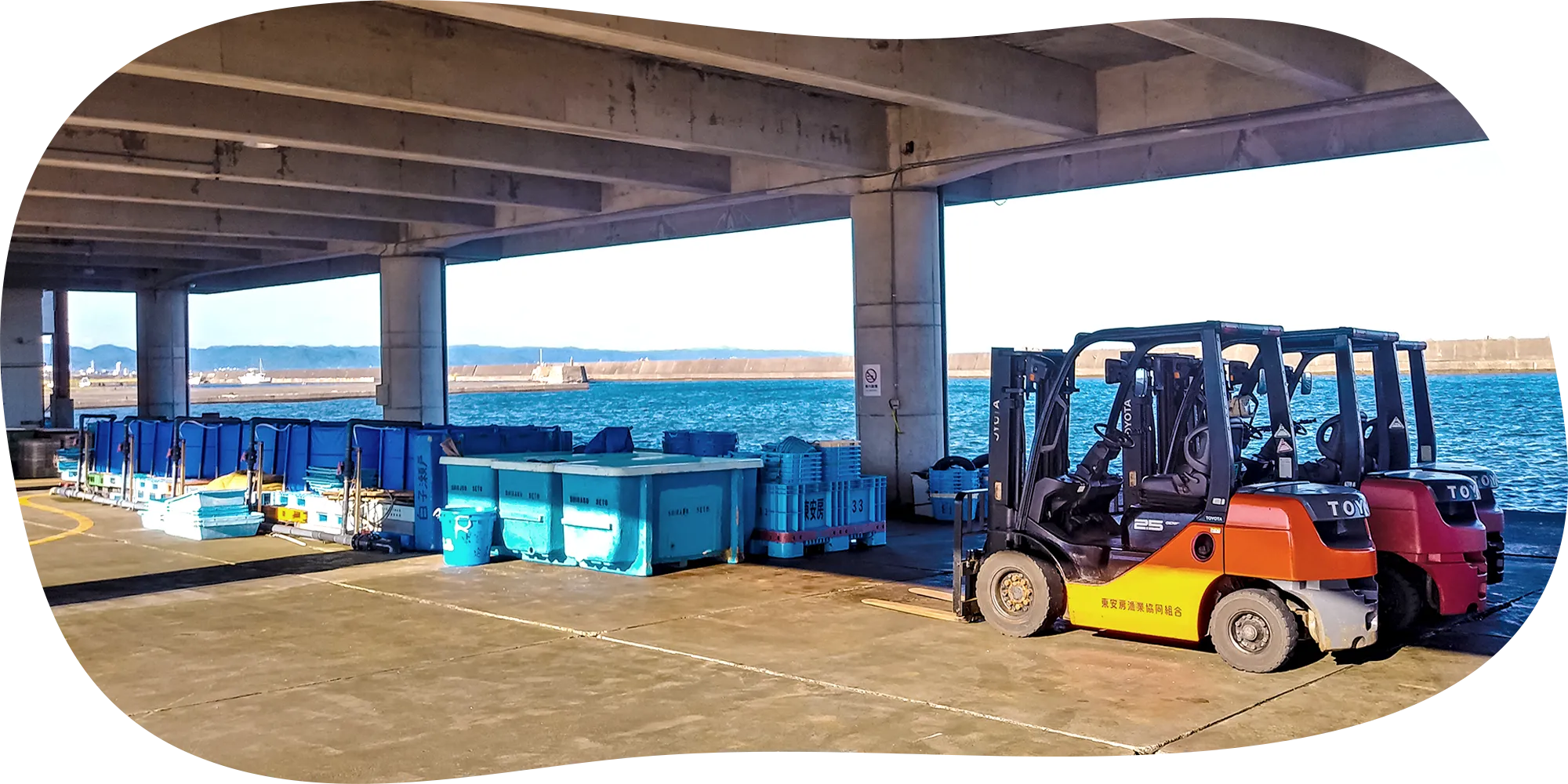 漁港の仕事イメージ